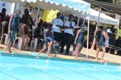 Loreto Swimming Gala 2014 Moments 164.jpg