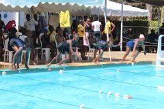 Loreto Swimming Gala 2014 Moments 196.jpg
