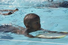img082.jpg