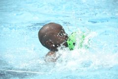 img115.jpg