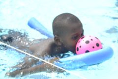 img130.jpg
