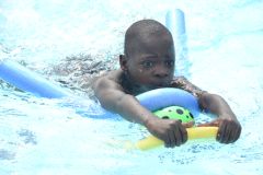 img133.jpg