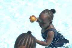 img195.jpg