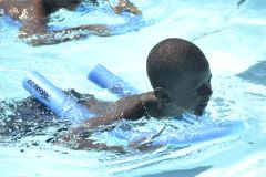 img291.jpg