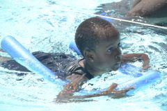 img333.jpg