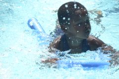 img335.jpg
