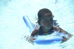 img336.jpg