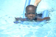 img354.jpg